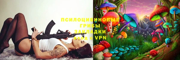 Альфа ПВП Арсеньев